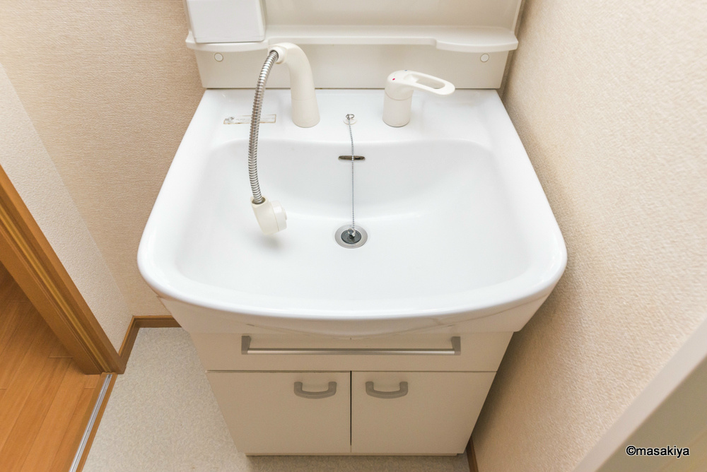 メゾン・ド・ポプラの洗面所|洗面・脱衣　シャンプードレッサー付き。