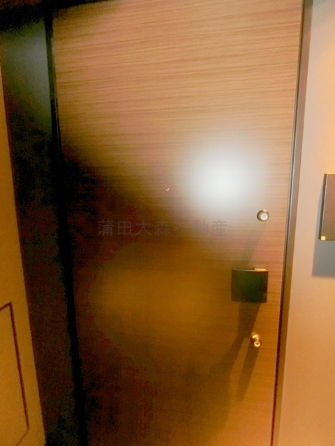 ザ・パークハビオ大森山王の玄関