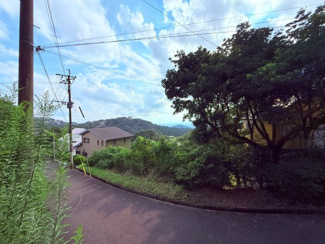 detached 霧島田口