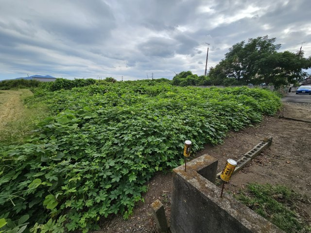 新治土地の外観