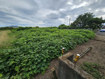 【外観】 | 新治土地
