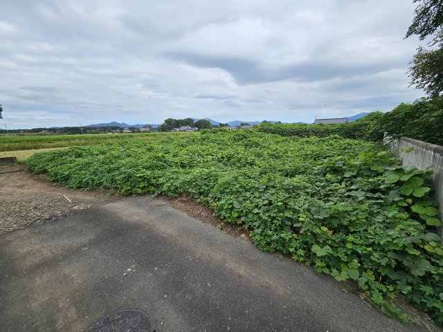 新治土地の外観