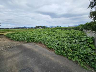 【外観】 | 新治土地