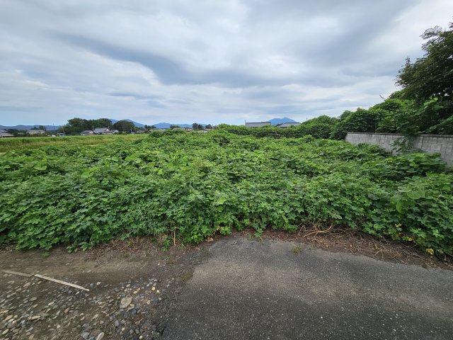 新治土地の外観
