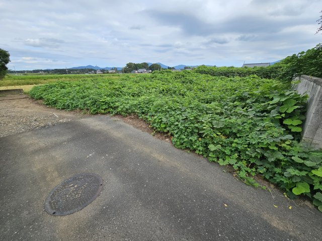 新治土地の外観