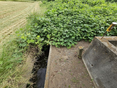 【外観】 | 新治土地