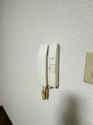 【セキュリティ】 | カーサディクロセピア