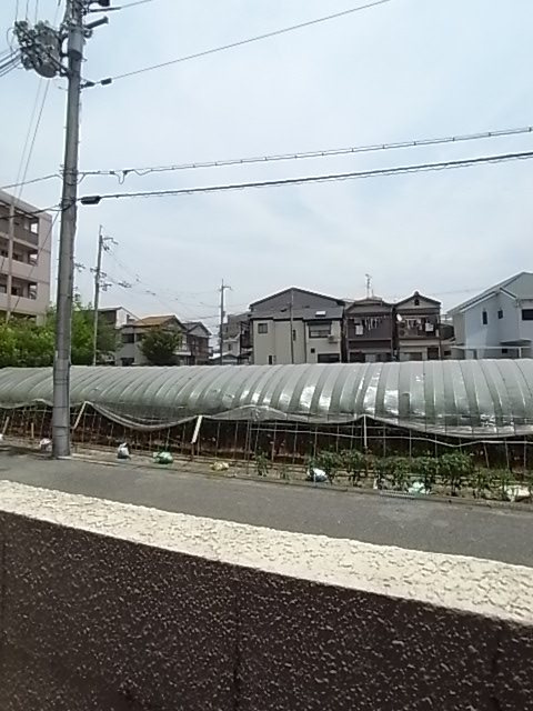 ドムール若山の展望