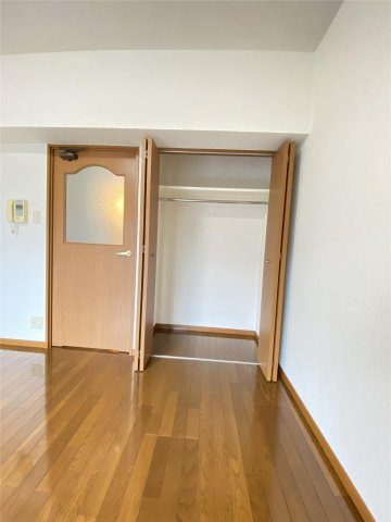 熊本市中央区坪井１丁目の賃貸マンションの収納