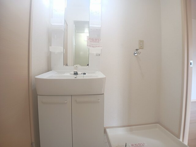 アネックス大平の洗面所