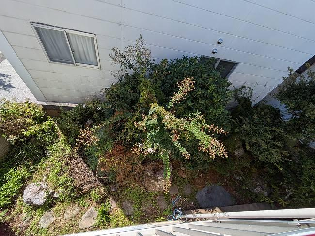 高知市愛宕3丁目　中古戸建ての庭