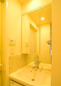 ｽﾃｰｼﾞｸﾞﾗﾝﾃﾞ錦糸町Ⅱの洗面所