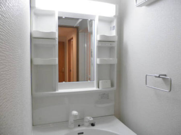 セリーン志村の洗面所