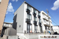 Rogie Hillsの画像