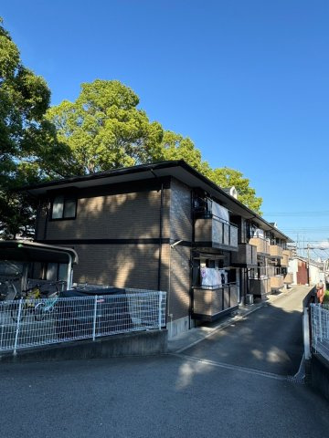 ハイムローリエのその他