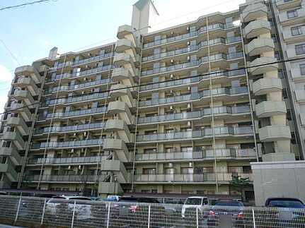 ステイツ野村向洋