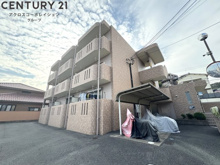 フレシールの画像