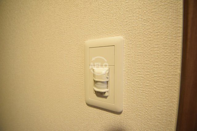 プレサンス大手前ピリオドの設備|プレサンス大手前ピリオド　玄関に自動照明