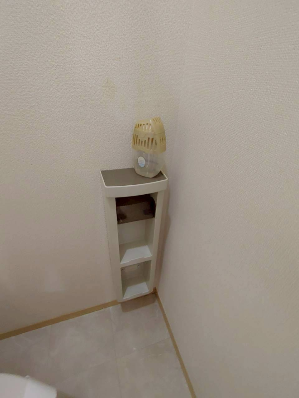 セントラルコート		の設備