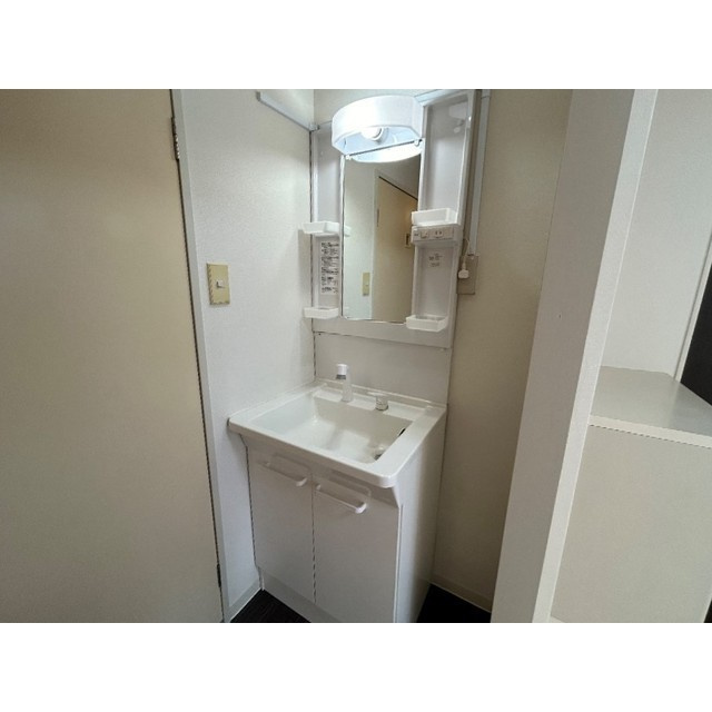 メゾン中郷の独立洗面台