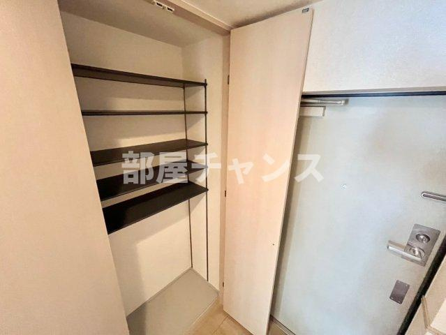 LiVEMAX　MOONの収納