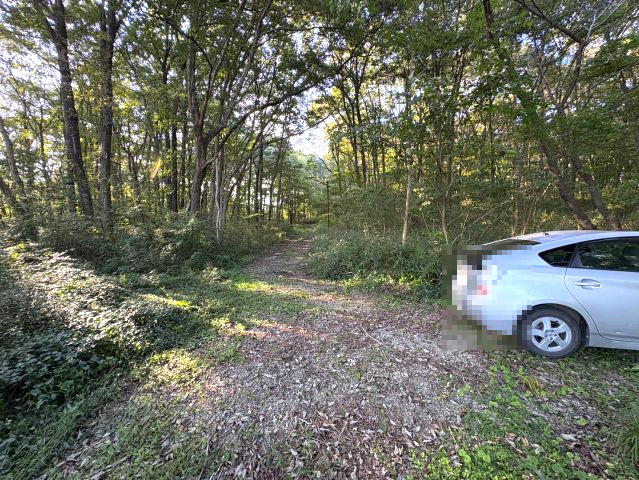 山林に囲まれた中古平屋建　那須町寺子丙 の前面道路含む現地写真|前面道路含む現地写真です