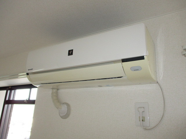 パストラルモリのその他