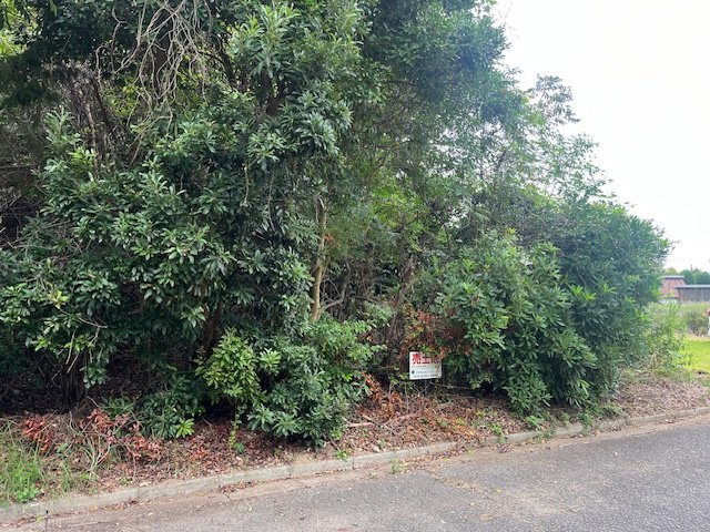 洲本市五色町鳥飼浦の前面道路含む現地写真