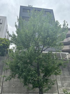 【その他】 | バージュアル横濱港北