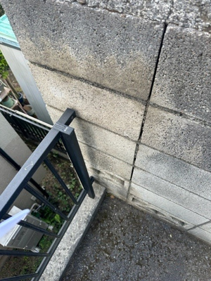 【その他】 | セントラルコート