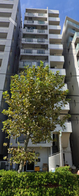 【外観】 | トップ鶴見第二7 | 建物外観を気になさる方へ、見た目の良い物件です