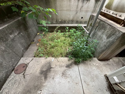 【庭】 | プチメゾン中央