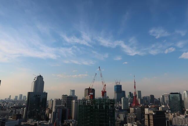 港区芝浦１丁目の賃貸マンションの展望|東京タワーＶＩＥＷ前回募集時… 