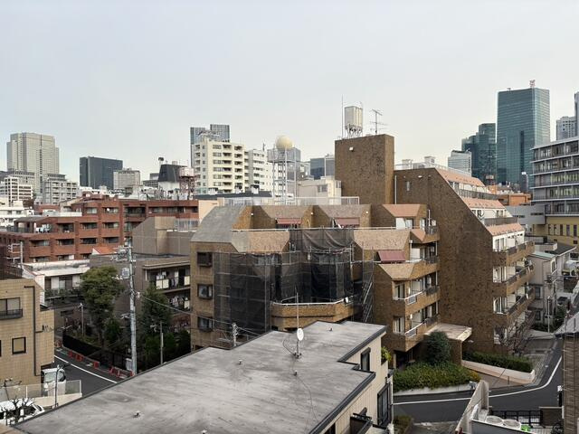 港区赤坂８丁目の賃貸マンションの展望| 