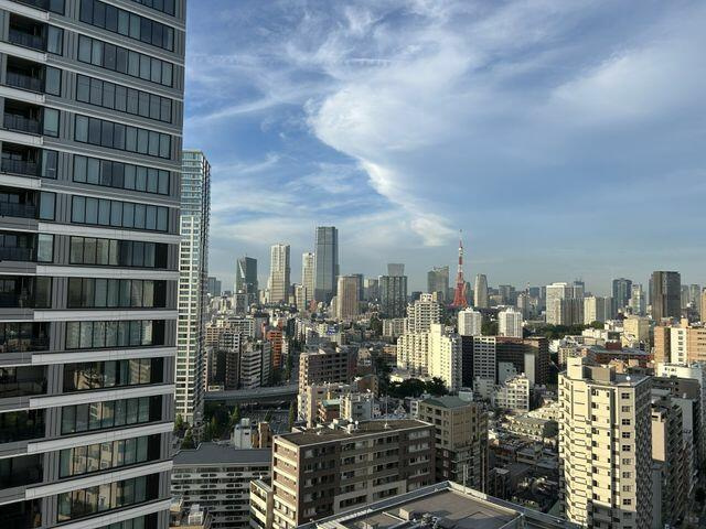 港区高輪１丁目の賃貸マンションの外観パース|バルコニーからの眺望 