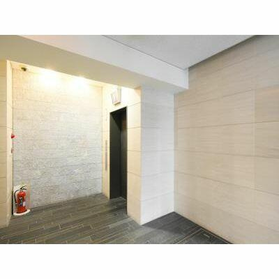 港区南麻布１丁目の賃貸マンションのロビー|エントランス 