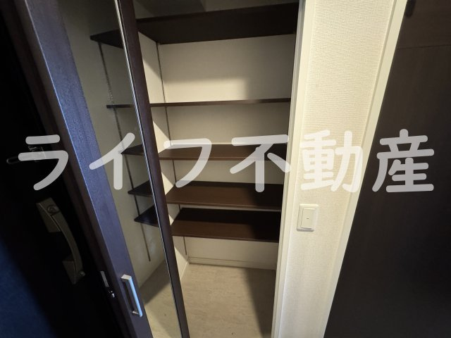 プレミアム菱屋西の収納|ちょっとした収納スペースも充実しています