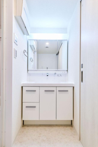 ライオンズステージ大島ウエストアクエアの独立洗面台