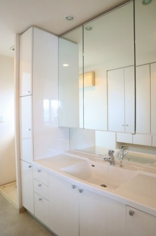 サーパス南前川の独立洗面台