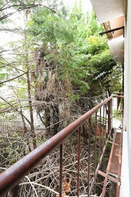 【展望】 | クヌギアパートメント