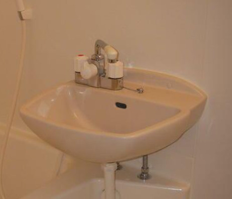 カーサ凛の洗面所