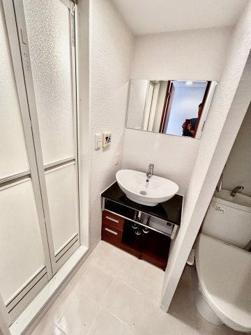 フォレステージュ江坂公園の洗面所