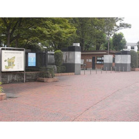 東海大学北門まで1200m