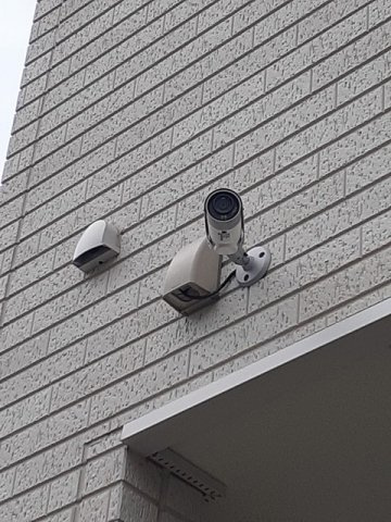 ｍａｉｓｏｎ　ｓａｔｓｕｋｉのその他