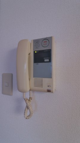 ビラタルミのセキュリティ