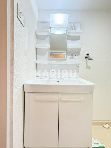 ライフ野江の洗面所