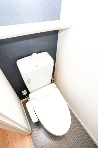 サヴォイ ラ・サブリエール　2階のトイレ|別号室のものになります。現状優先。