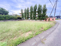 川越市南田島　建築条件なし売地　東武東上線『新河岸駅』徒歩30分　【牛子小学区】の画像