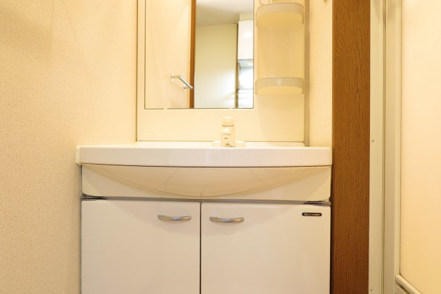 ラフィーネ住之江の洗面所