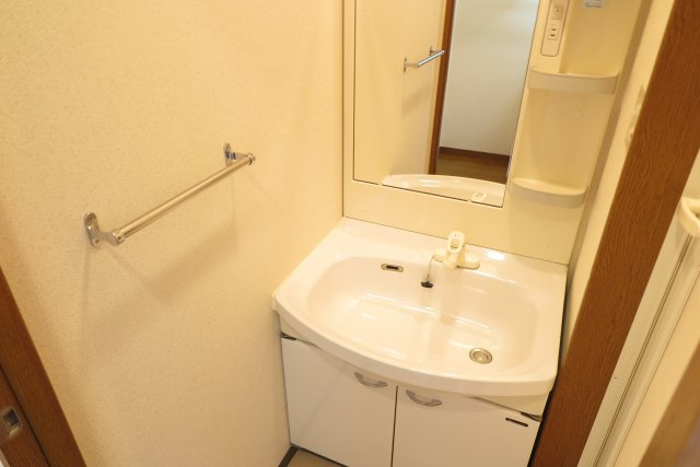 ラフィーネ住之江の洗面所